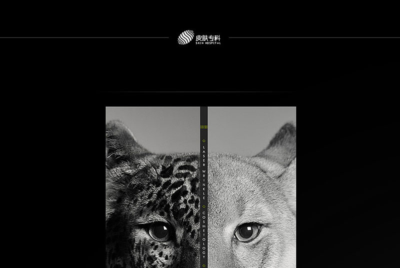 皮膚專科海報(bào)設(shè)計(jì)